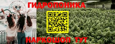 гидра Моздок