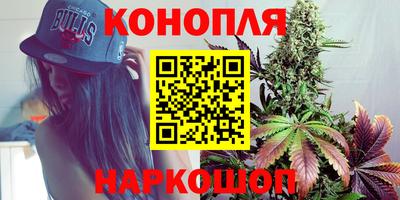 гидра Моздок
