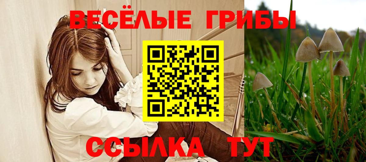 Галлюциногенные грибы Psilocybine cubensis Электросталь